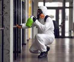 Professional Mold Remediation in Bellerose Terrace, NY